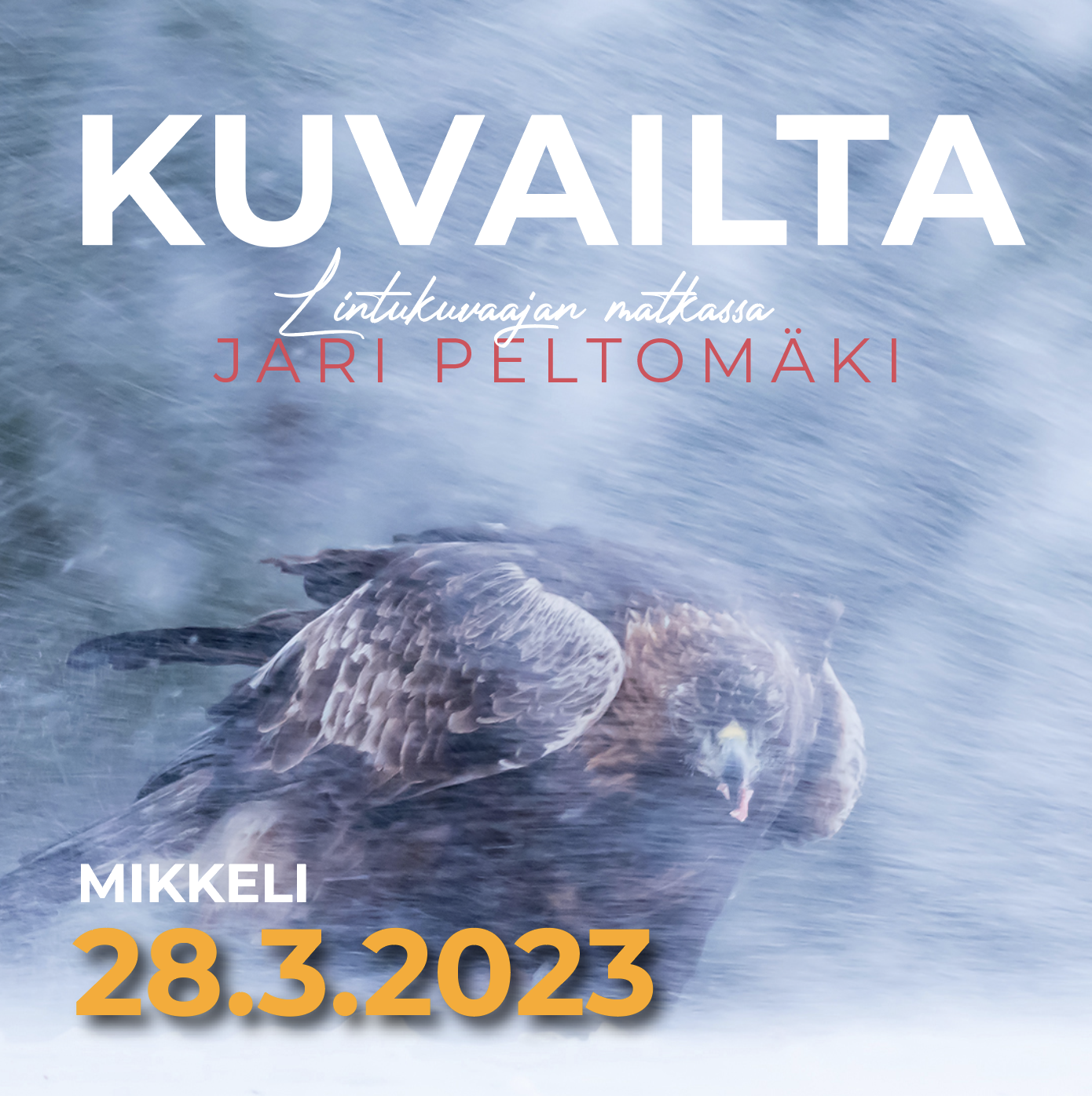 Luontokuvaajan matkassa / Jari Peltomäki - Kuvailta Mikkelissä 28.3