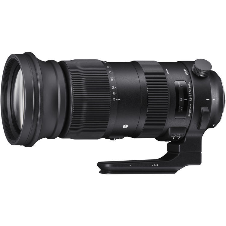 Sigma 60-600mm f/4.5-6.3 DG OS HSM Sports (Canon EF)