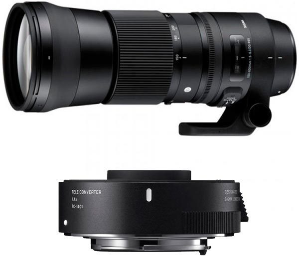 Sigma 150-600mm f/5-6.3 DG OS HSM C + 1.4x telejatke (Canon)