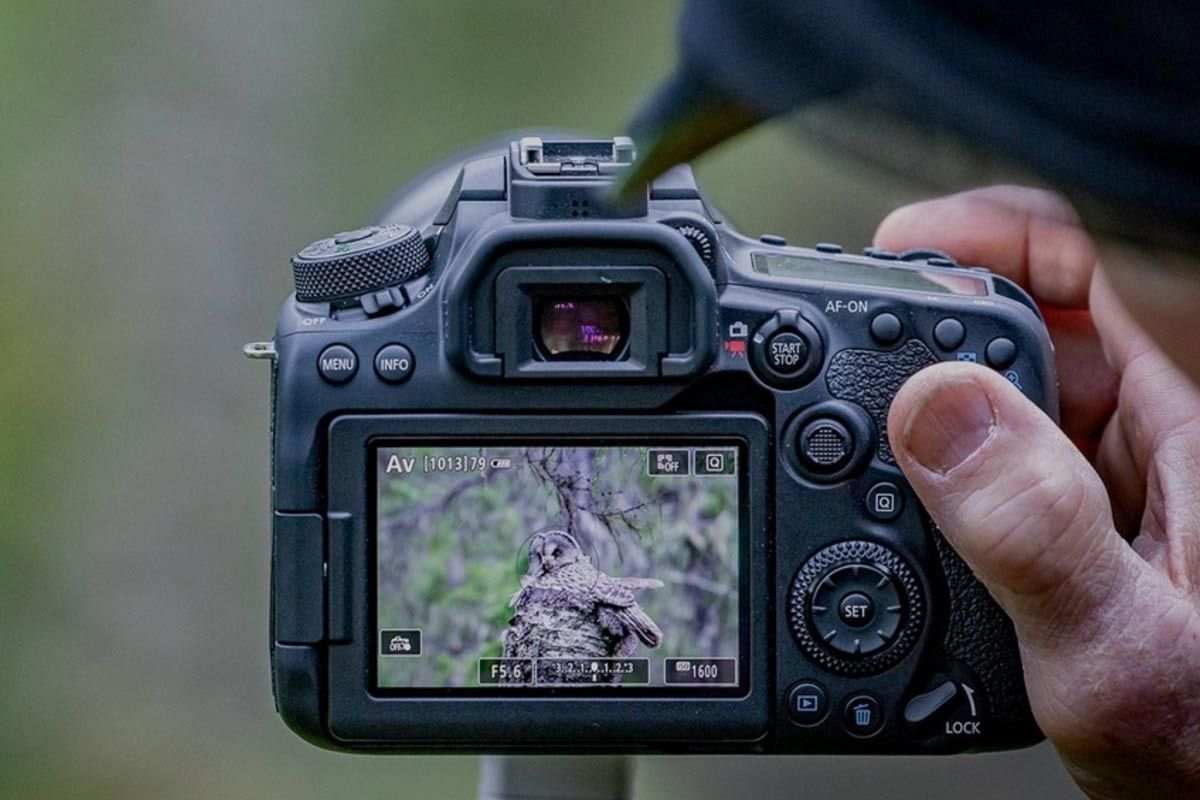 Canon-EOS-90D-luontokuvaus