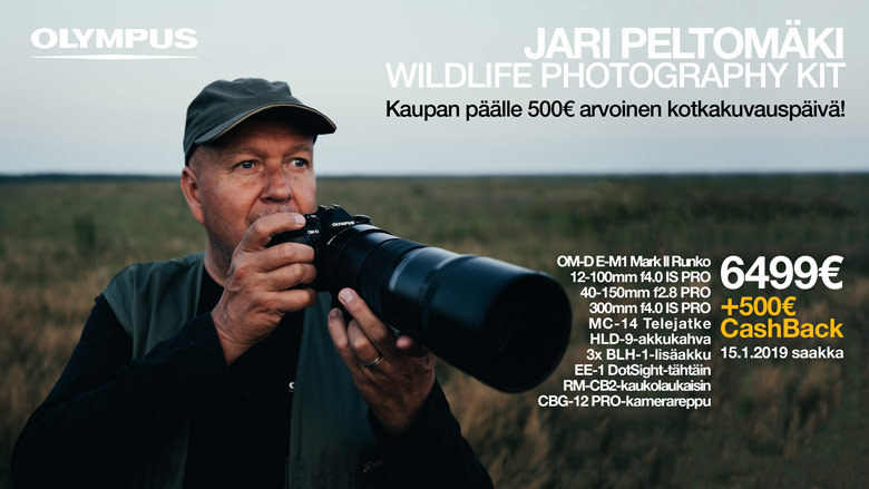 Jari Peltomäki Wildlife Photography Kit